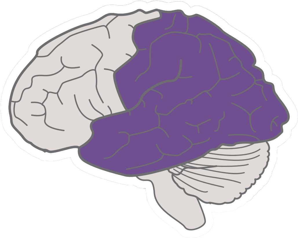 UDL-Representation